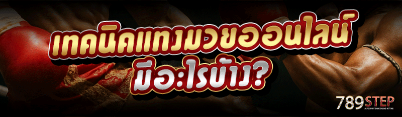 เทคนิคแทงมวยออนไลน์ มีอะไรบ้าง?